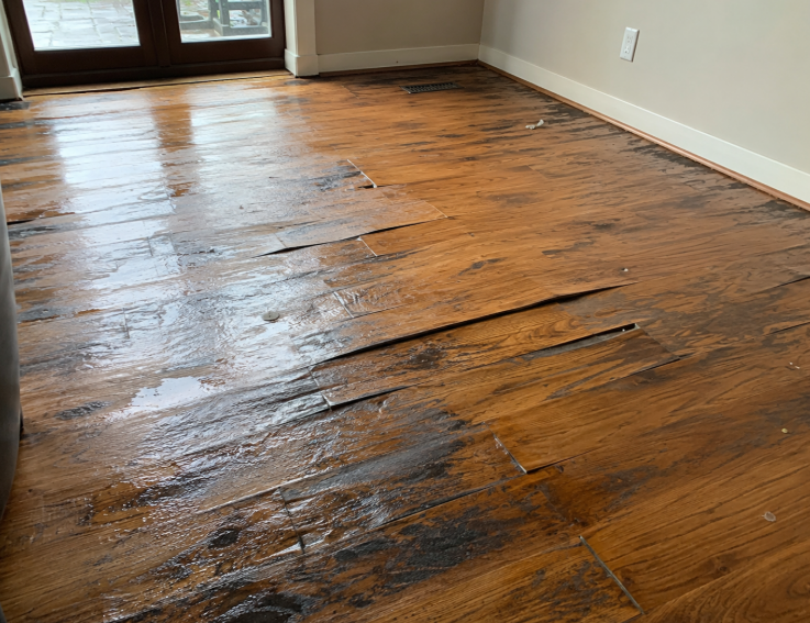 Water damaged hardwood floor in a Chevy Chase, MD home