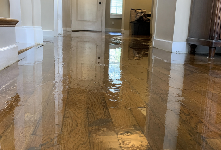 Flooded hardwood floor in a Frederick, MD home