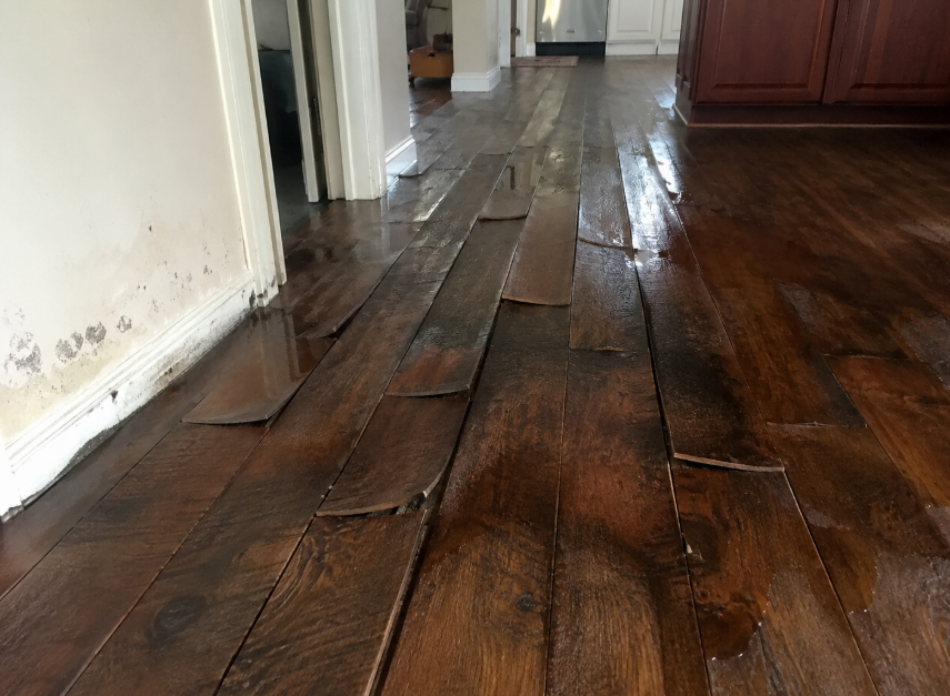 Buckled hardwood planks lifting after water damage in a Potomac, MD home
